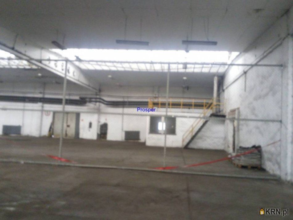 Dąbrowa Górnicza - 3000.00m2 - 