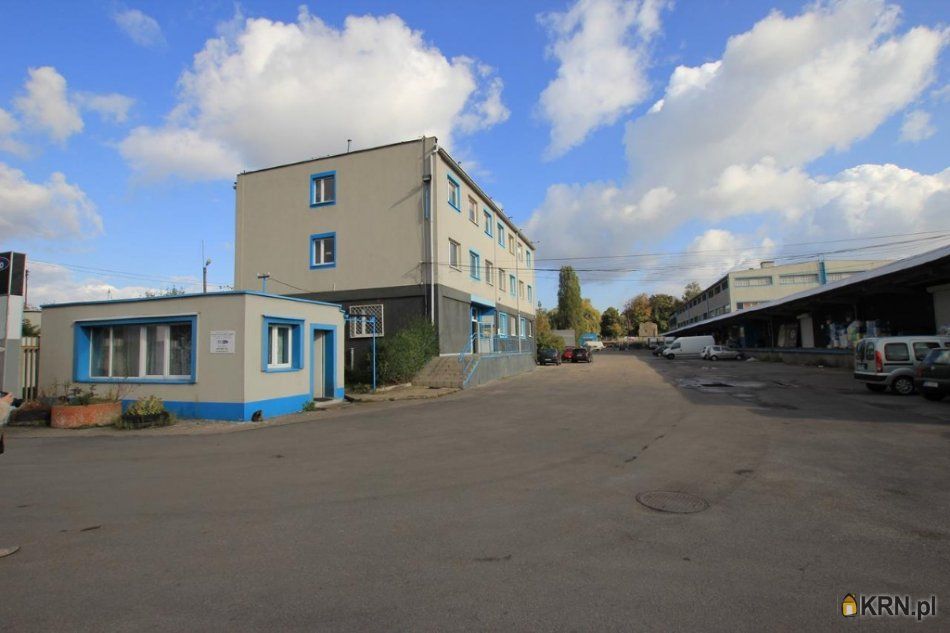 Sosnowiec - Ptasia - 1152.00m2 - 