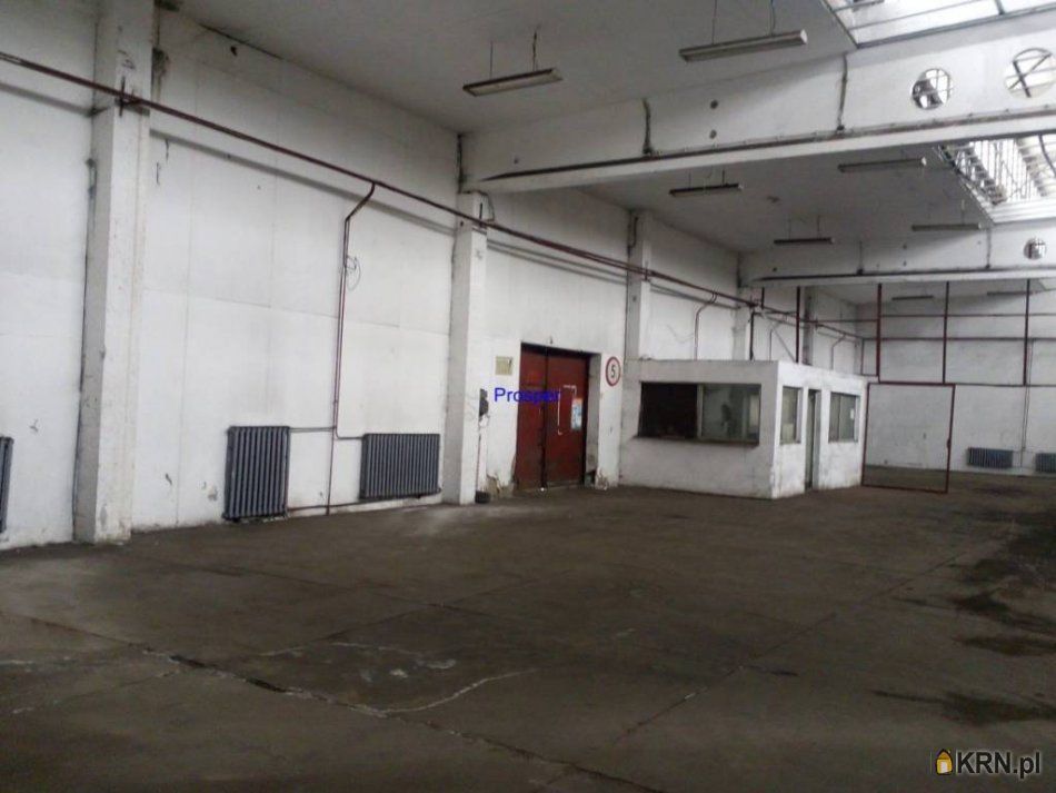 Dąbrowa Górnicza - 3000.00m2 - 