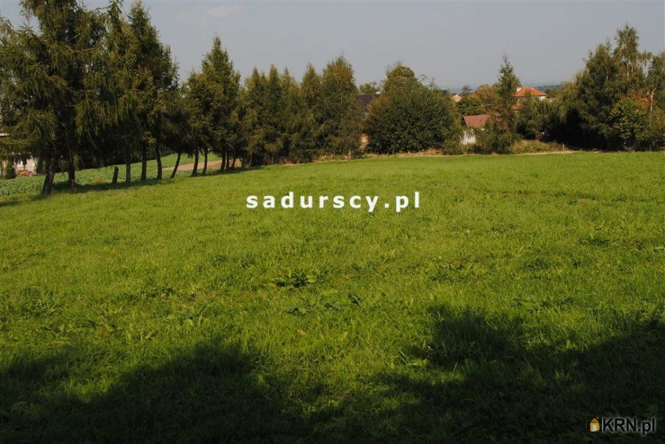 Wilczkowice - -1.00m2 - 