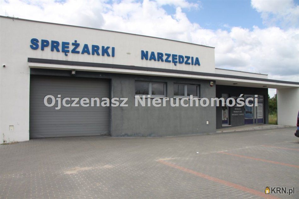 Bydgoszcz - 393.00m2 - 