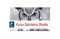 Real estate tax in 2013 in construction and developing branches – the latest jurisdiction of tax authorities and administrative courts