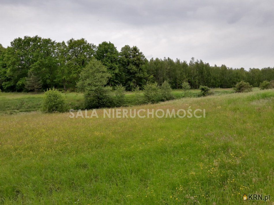 Kaczkowo - -1.00m2 - 