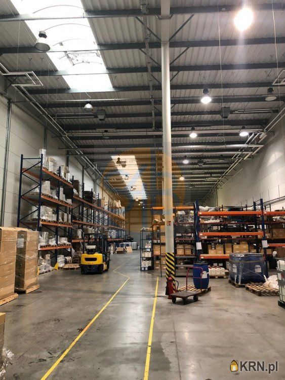 Kraków - 960.00m2 - 