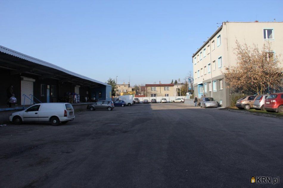 Sosnowiec - Ptasia - 4330.00m2 - 