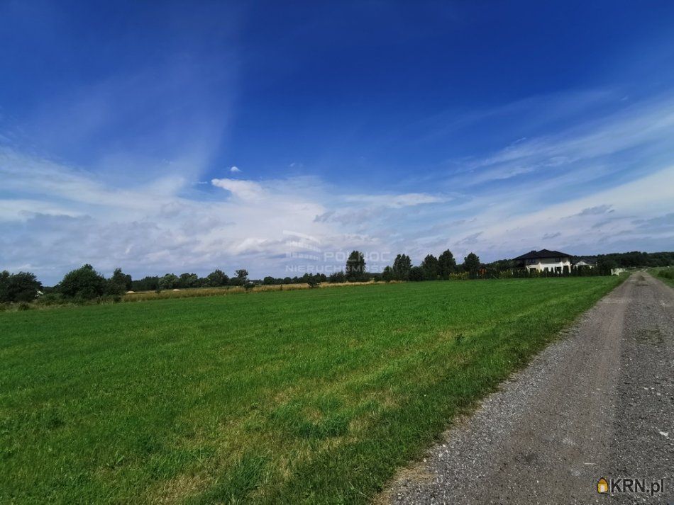 Protasy - 202.50m2 - 