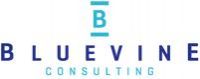 Bluevine Consulting logo