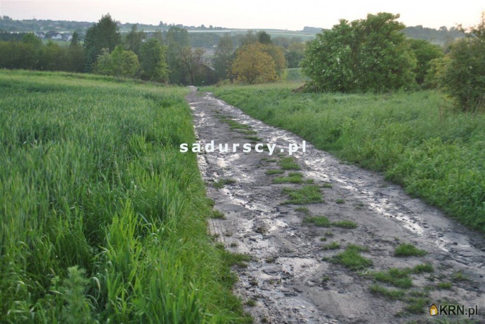 Dąbrowa - -1.00m2 - 