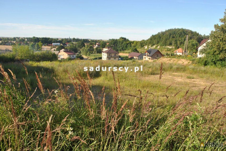 Niedźwiedź - -1.00m2 - 