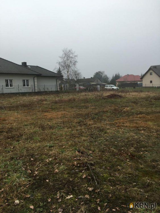 Krzaki Czaplinkowskie - -1.00m2 - 