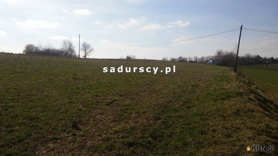 Barbarka - -1.00m2 - 