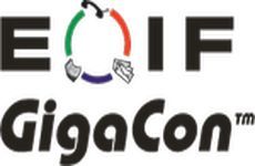 Summit EOIF GigaCon – Electronic Circulation of the Information in a Company