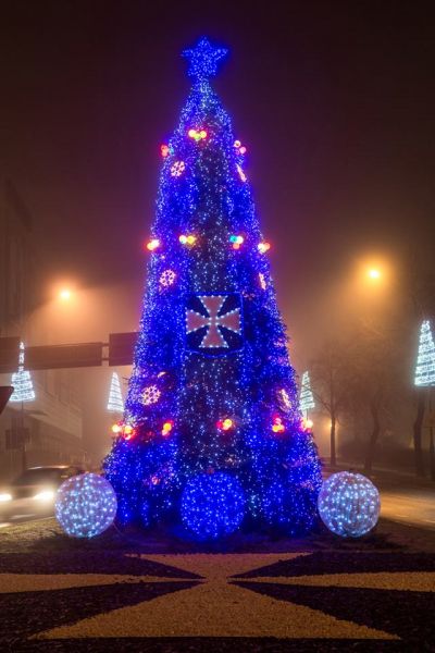  - Rzeszów - choinka przy ul. Piłsudskiego, źródło: facebook.com/Rzeszow.stolica.innowacji